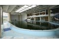 Hotel Expro, Bazna - thumb 5