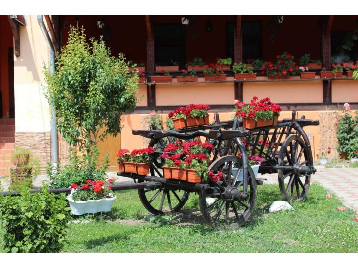Pensiunea Polyana, Bazna - imaginea 