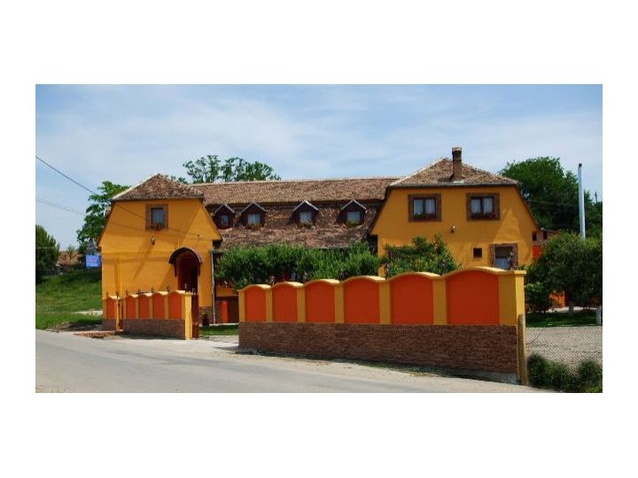 Pensiunea Polyana, Bazna - imaginea 