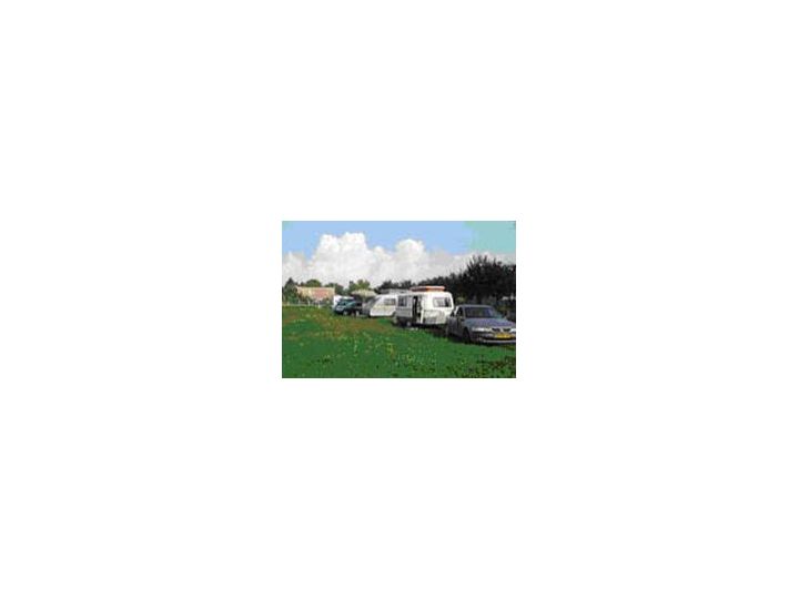 Campingul Salcia Batrana, Carta Sibiu - imaginea 