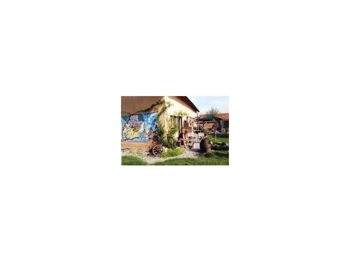 Campingul Salcia Batrana, Carta Sibiu - imaginea 