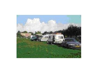 Campingul Salcia Batrana, Carta Sibiu - 2
