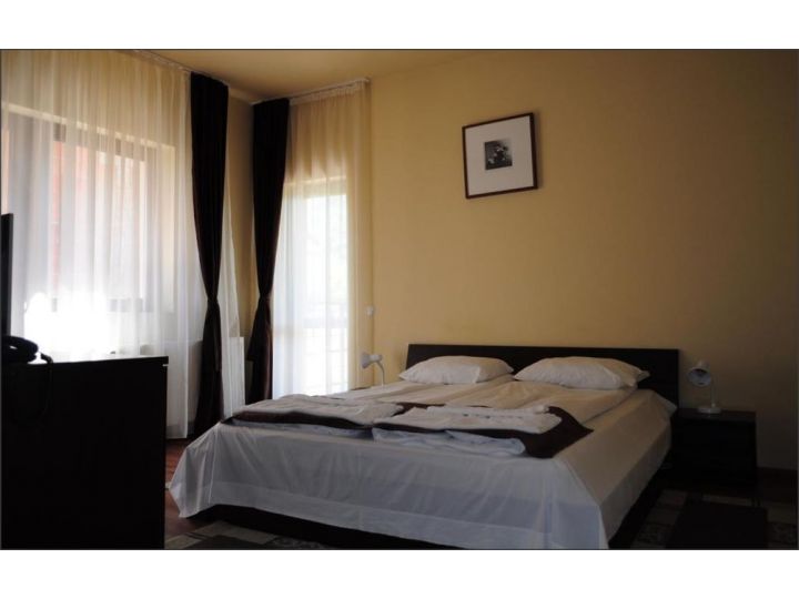 Pensiunea Casa Cu Flori, Cisnadioara - imaginea 