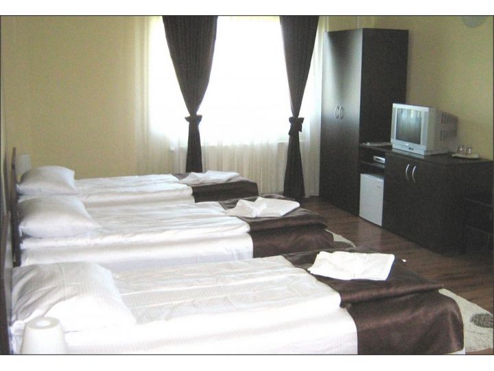 Pensiunea Casa Cu Flori, Cisnadioara - imaginea 