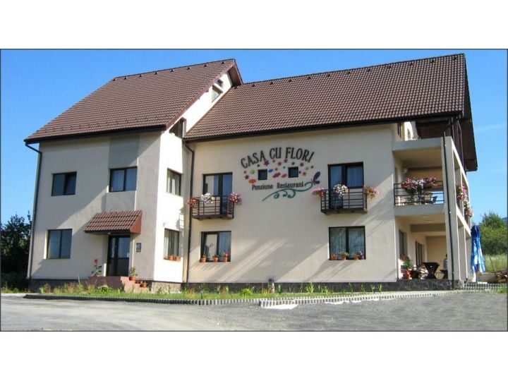 Pensiunea Casa Cu Flori, Cisnadioara - imaginea 