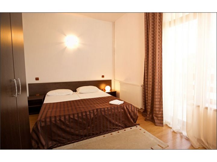 Pensiunea Casa Soarelui, Cisnadioara - imaginea 