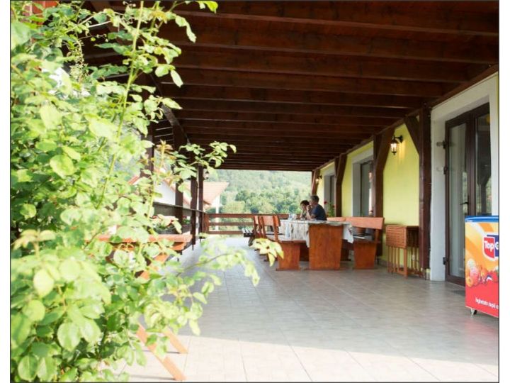 Pensiunea Casa Soarelui, Cisnadioara - imaginea 
