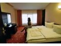 Hotel Rin, Miercurea Sibiului - thumb 3