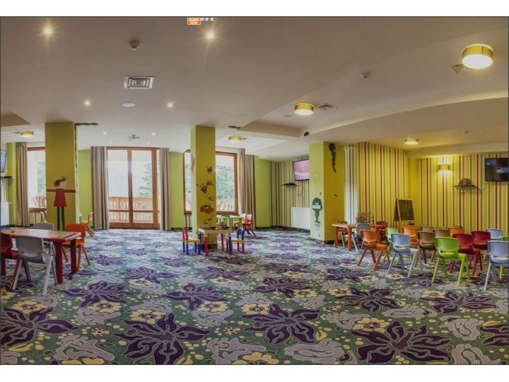 Hotel Hohe Rinne Paltinis, Paltinis - imaginea 