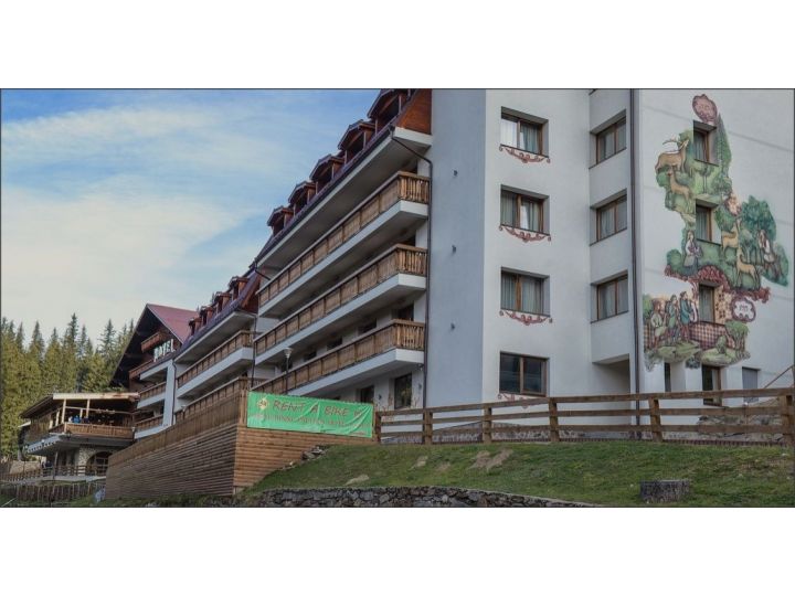 Hotel Hohe Rinne Paltinis, Paltinis - imaginea 