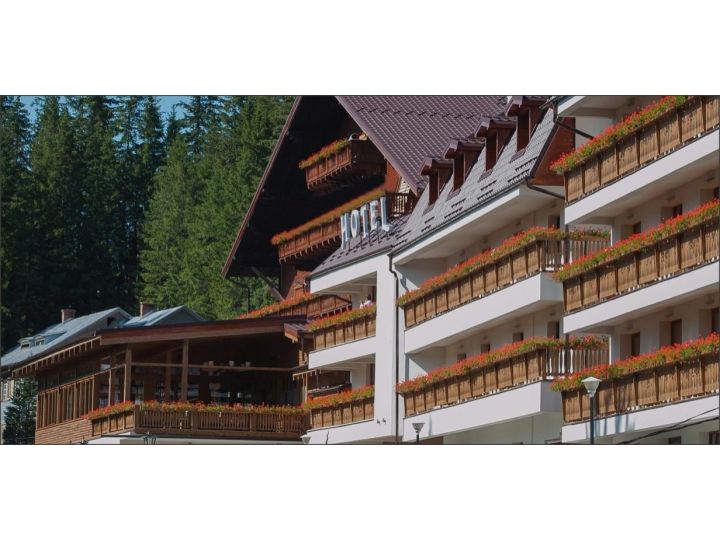 Hotel Hohe Rinne Paltinis, Paltinis - imaginea 