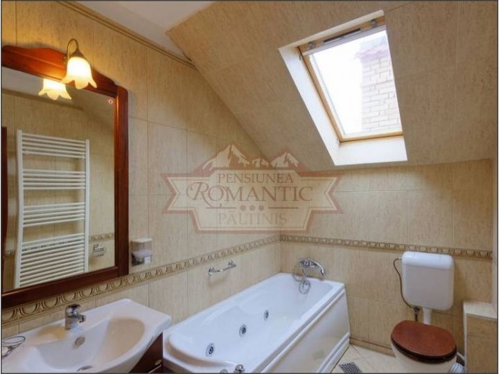 Vila Romantic, Paltinis - imaginea 