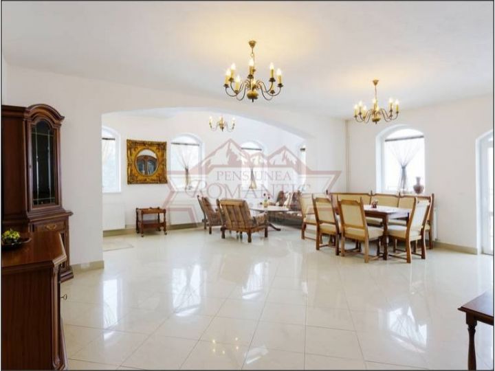 Vila Romantic, Paltinis - imaginea 