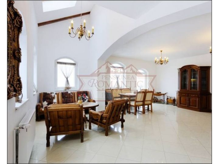 Vila Romantic, Paltinis - imaginea 
