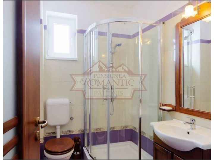 Vila Romantic, Paltinis - imaginea 