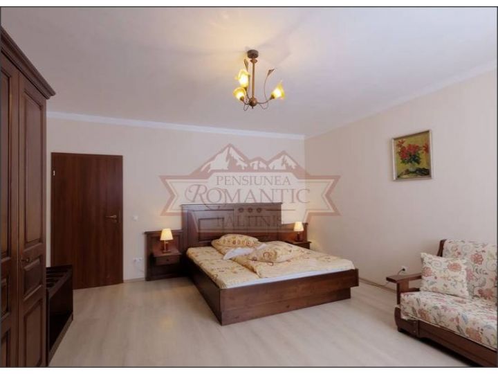Vila Romantic, Paltinis - imaginea 