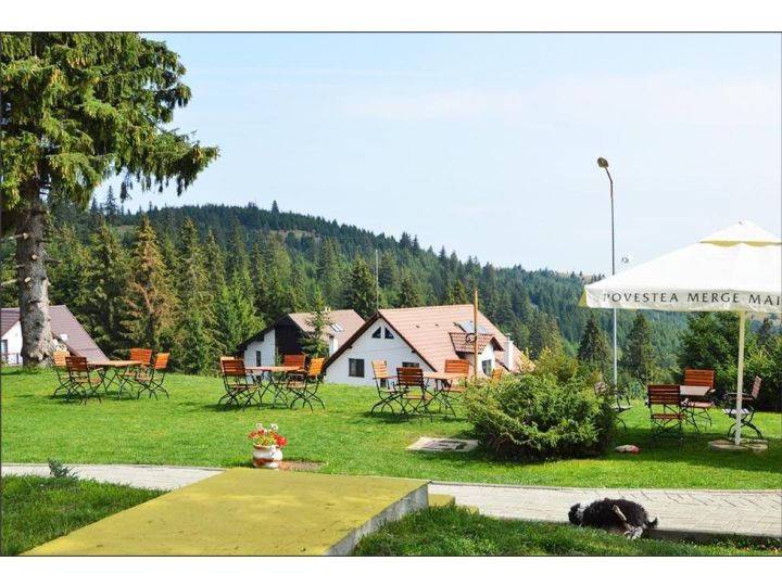 Pensiunea Romantic Belvedere Paltinis, Arena Platos - imaginea 