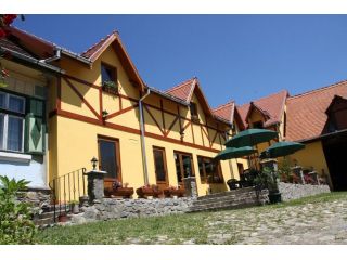 Pensiunea Bendorfeanu, Rasinari - 2