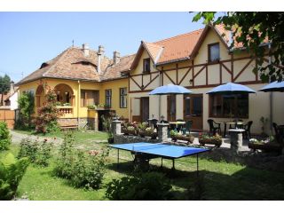 Pensiunea Bendorfeanu, Rasinari - 1