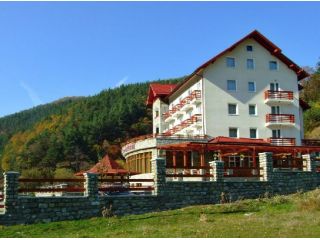 Vila Briana, Rasinari - 1