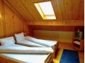 Vila Briana, Rasinari - thumb 8