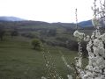 Pensiunea Phoenix, Rasinari - thumb 13