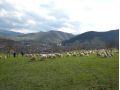 Pensiunea Phoenix, Rasinari - thumb 17