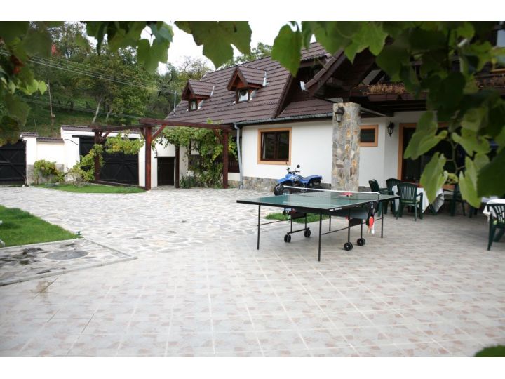 Pensiunea Casa Din Vale, Saliste - imaginea 