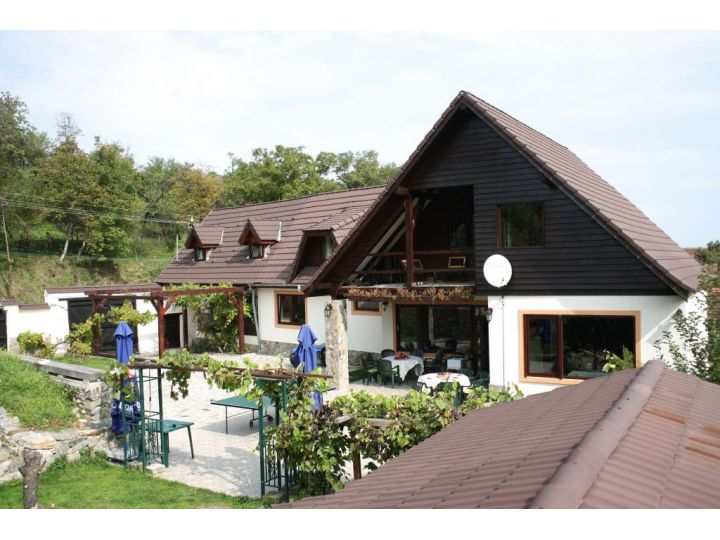 Pensiunea Casa Din Vale, Saliste - imaginea 