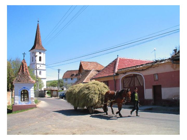 Pensiunea Bunica Eugenia, Sibiel - imaginea 
