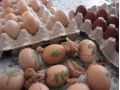 Pensiunea Bunica Eugenia, Sibiel - thumb 16