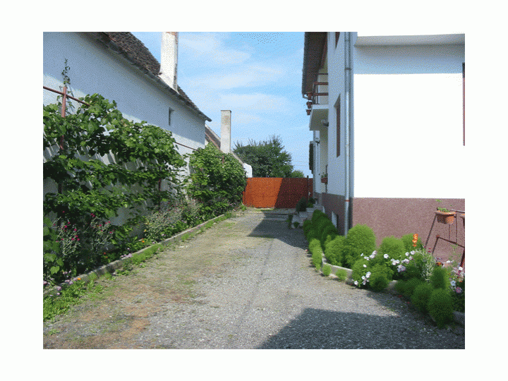 Vila Anca, Sibiu-Oras - imaginea 