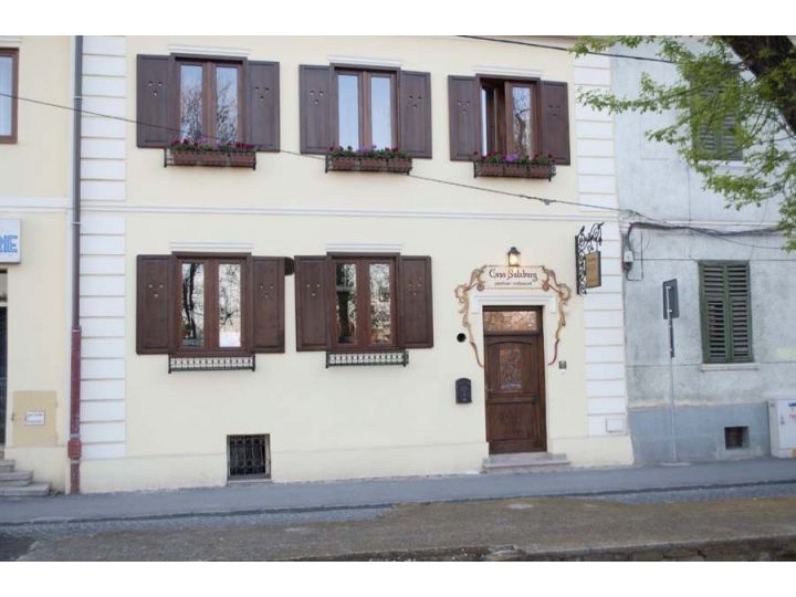 Pensiunea Casa Salzburg, Sibiu-Oras - imaginea 