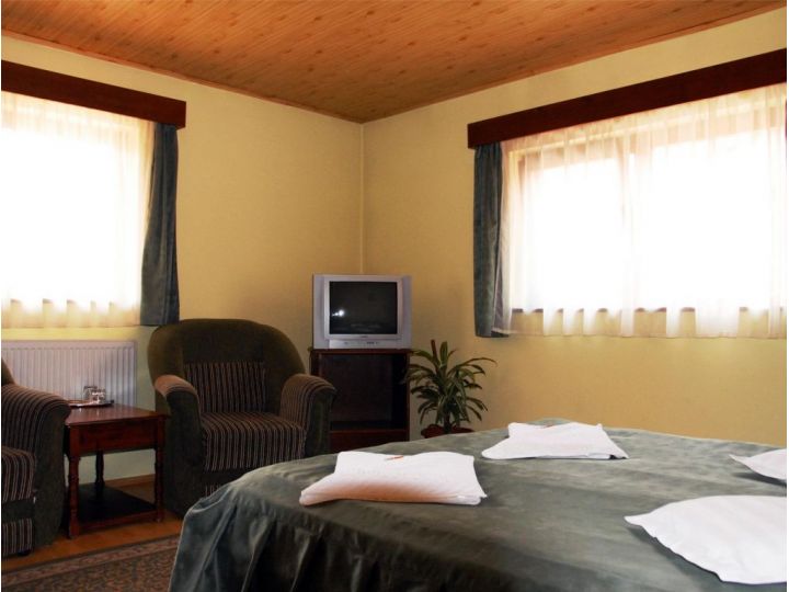Pensiunea Daniel, Sibiu-Oras - imaginea 