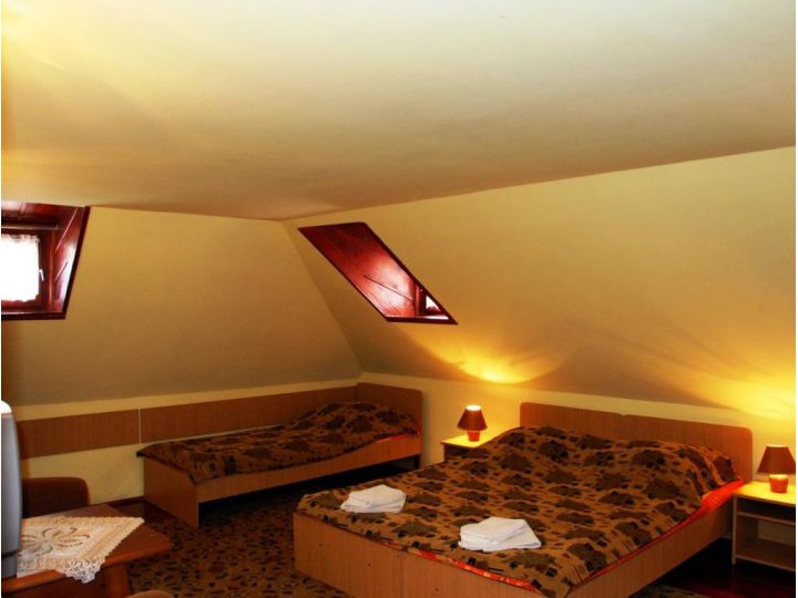 Pensiunea Ela, Sibiu-Oras - imaginea 