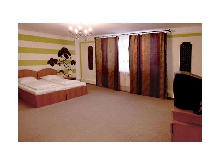 Hotel Grand Hotel Dumbrava, Sibiu-Oras - imaginea 