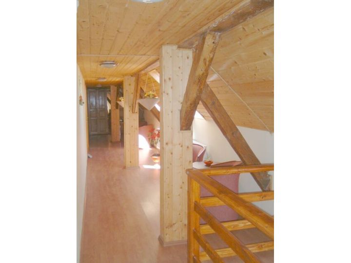 Pensiunea Greenhouse, Sibiu-Oras - imaginea 