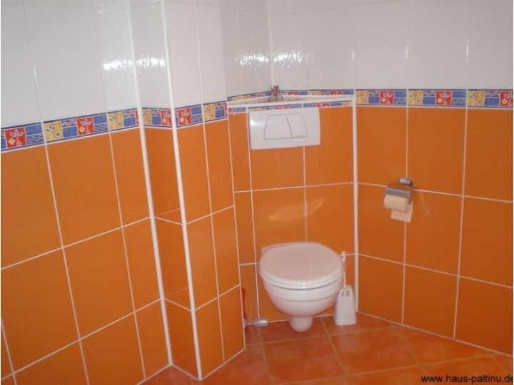 Pensiunea Haus Paltinul, Sibiu-Oras - imaginea 