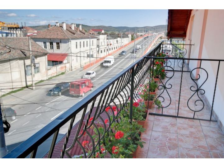 Pensiunea La Viorel, Sibiu-Oras - imaginea 