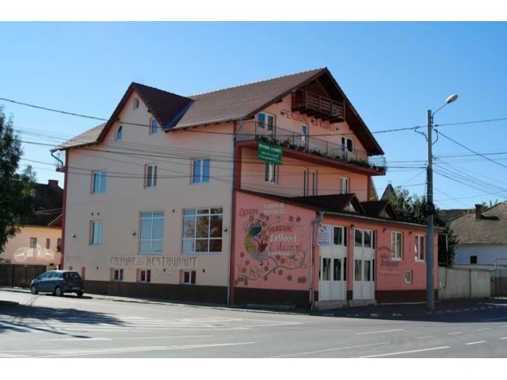 Pensiunea La Viorel, Sibiu-Oras - imaginea 