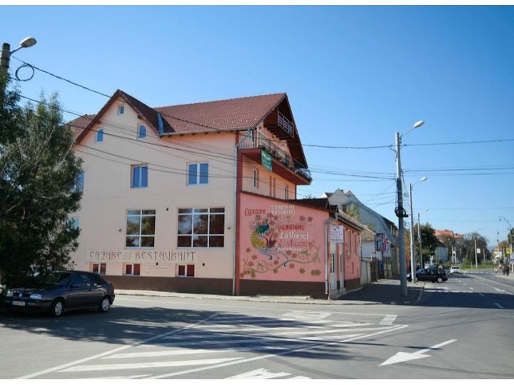 Pensiunea La Viorel, Sibiu-Oras - imaginea 