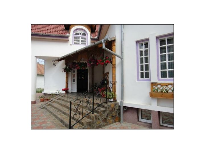 Pensiunea Millenium, Sibiu-Oras - imaginea 