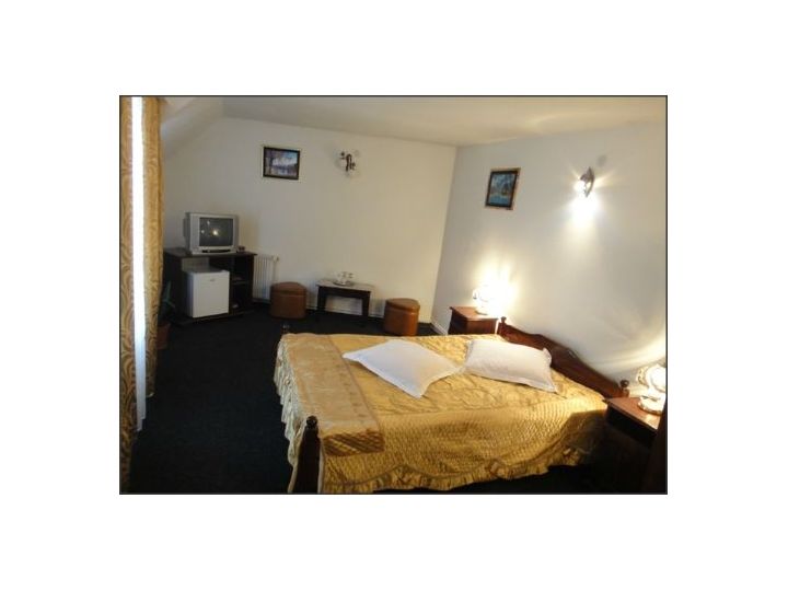 Pensiunea Millenium, Sibiu-Oras - imaginea 