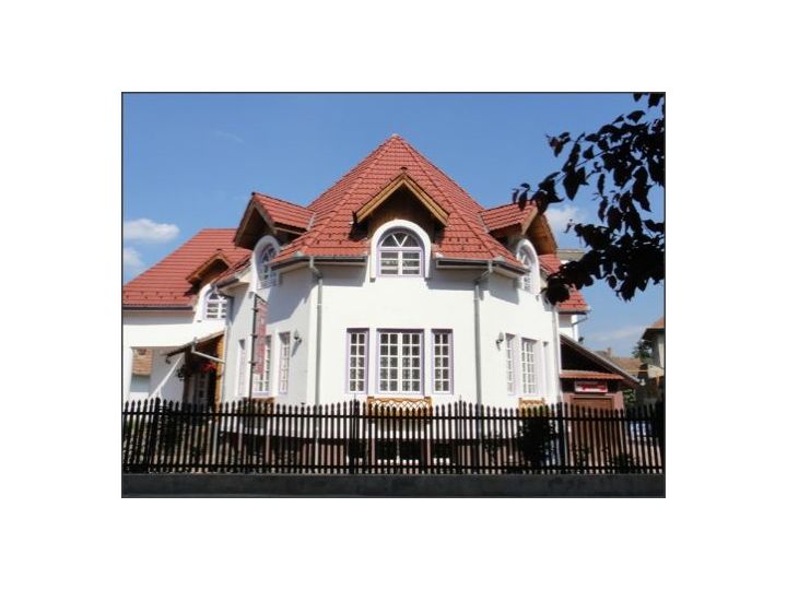 Pensiunea Millenium, Sibiu-Oras - imaginea 