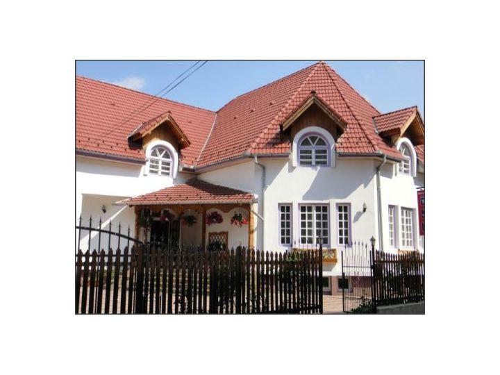 Pensiunea Millenium, Sibiu-Oras - imaginea 