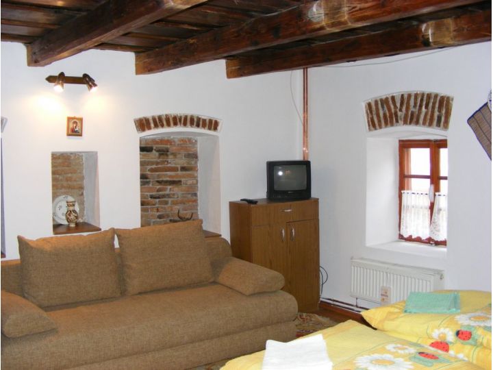 Pensiunea Radoiu - Rustic, Talmacel - imaginea 