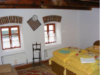 Pensiunea Radoiu - Rustic, Talmacel - 4