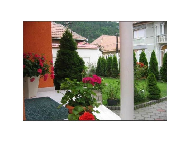 Pensiunea Irina, Tilisca - imaginea 