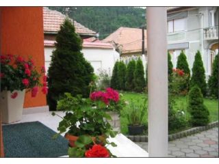 Pensiunea Irina, Tilisca - 4