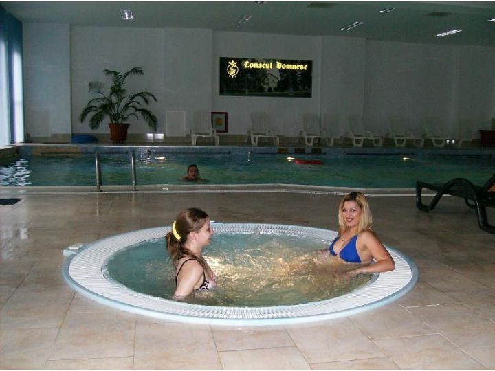 Hotel Conacul Domnesc, Scheia - imaginea 